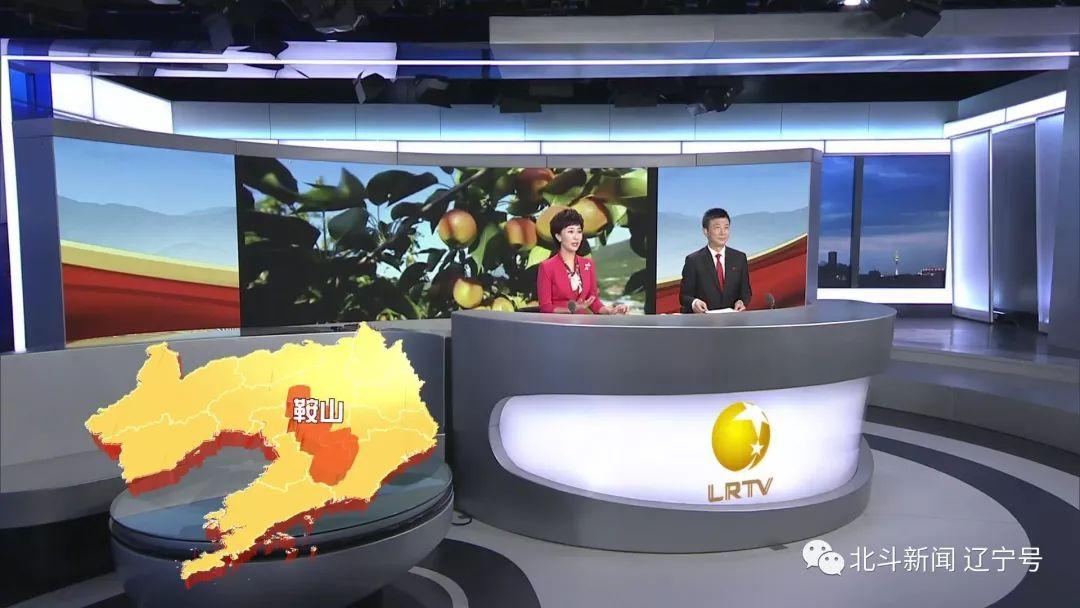 辽宁卫视在线直播今天