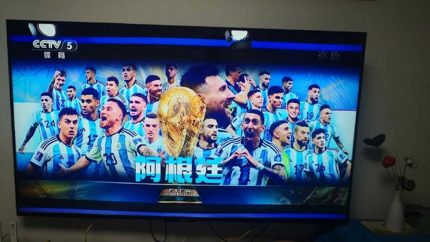 世界杯决赛直播的相关图片